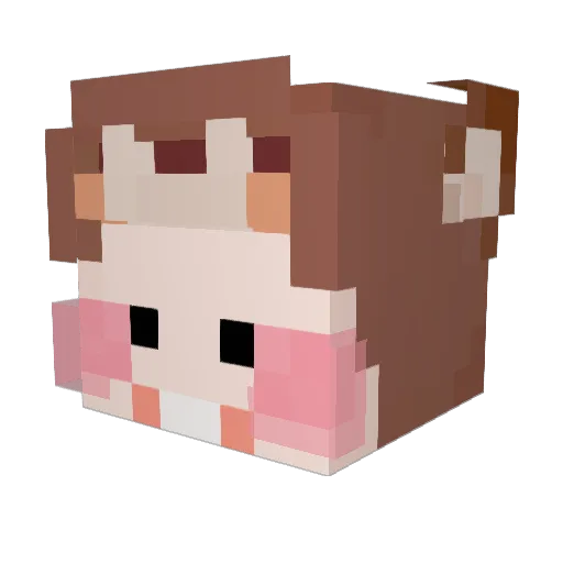 say75 Minecraft avatar head, 3D render