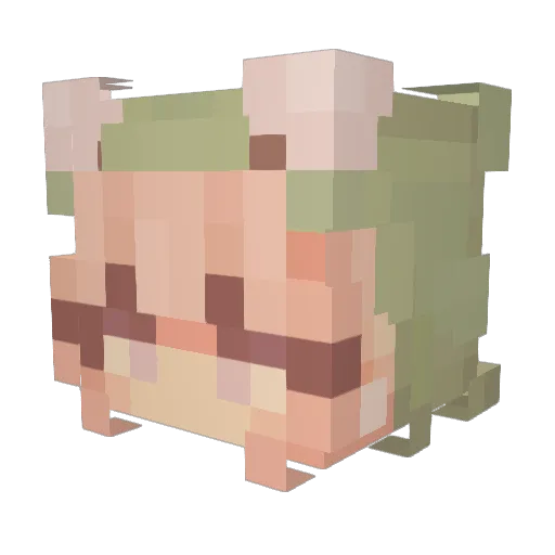 sayalover Minecraft avatar head, 3D render