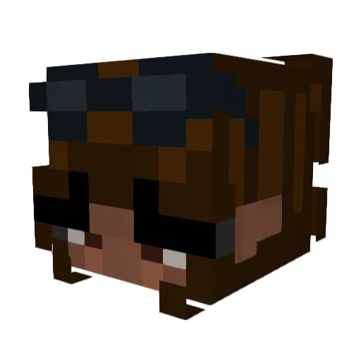 sayarite Minecraft avatar head, 3D render