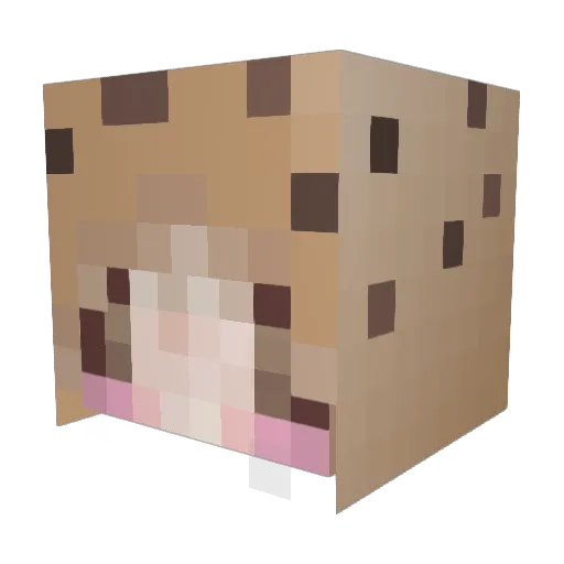 sayid4 Minecraft avatar head, 3D render