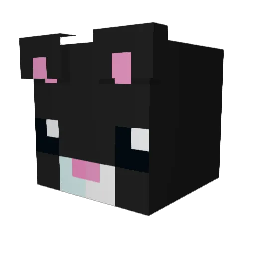 saymeoow Minecraft avatar head, 3D render