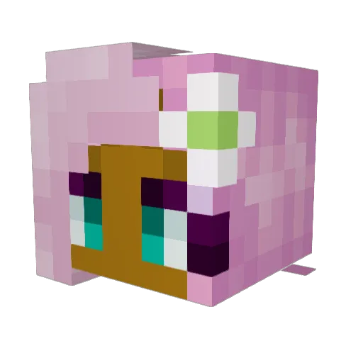 saynomoh Minecraft avatar head, 3D render