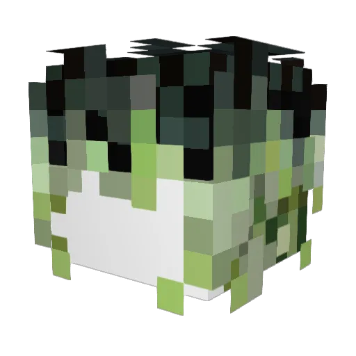 sayvne Minecraft avatar head, 3D render