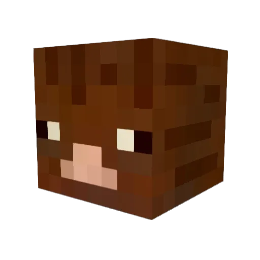 sb_yj Minecraft avatar head, 3D render