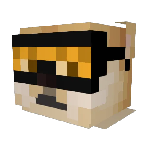 sbarni Minecraft avatar head, 3D render