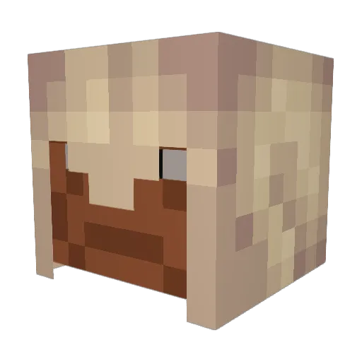 sbbuilder Minecraft avatar head, 3D render