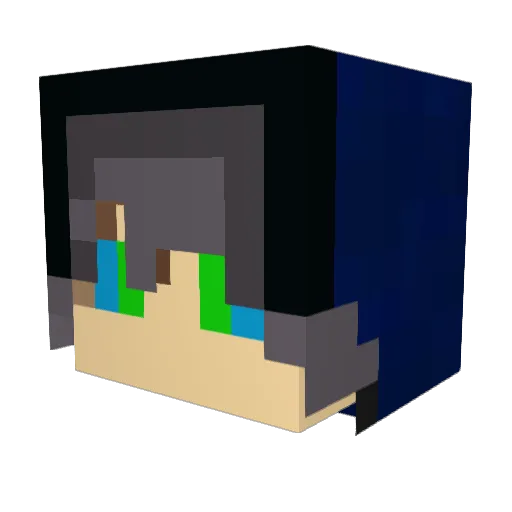 sbee0729 Minecraft avatar head, 3D render