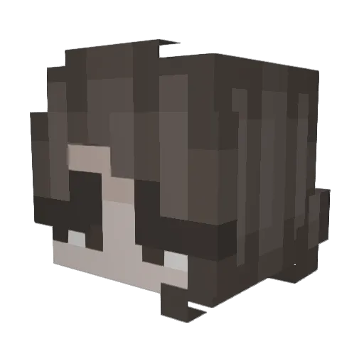 sbgsp500 Minecraft avatar head, 3D render