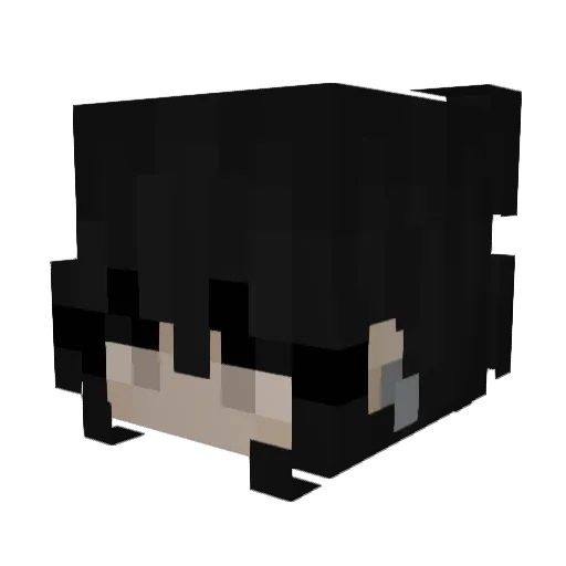 sbhjf Minecraft avatar head, 3D render