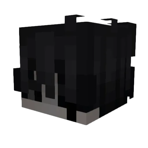 sbiv3000trash Minecraft avatar head, 3D render