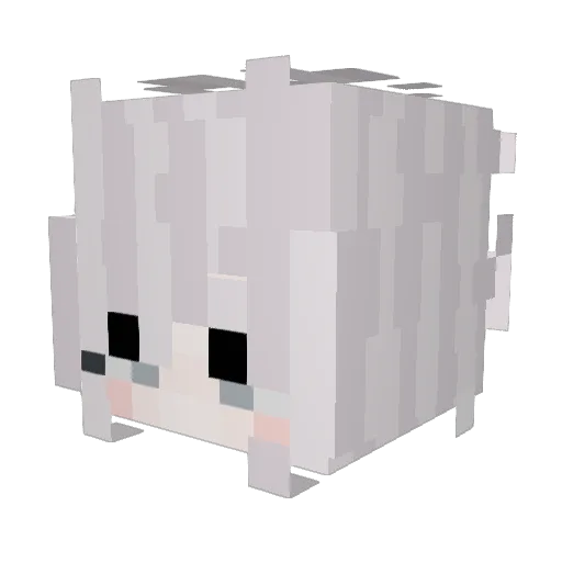 sbnc Minecraft avatar head, 3D render