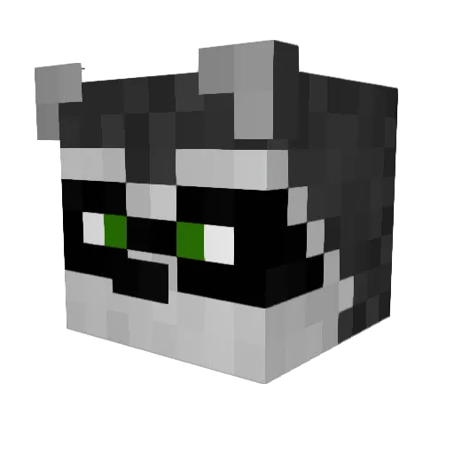 sbonk Minecraft avatar head, 3D render