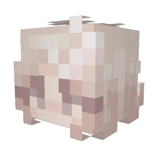 sboswell99 Minecraft avatar head, 3D render