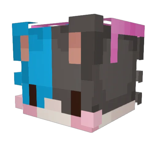 sbr200200 Minecraft avatar head, 3D render