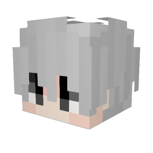 Minecraft-Avatar von sburadxv: Kopf als 3D-Render