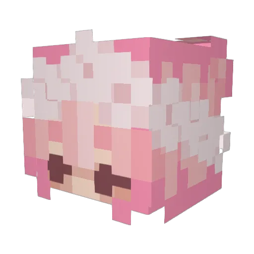 sburk00 Minecraft avatar head, 3D render