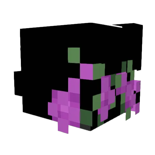 sc00bysnax Minecraft avatar head, 3D render