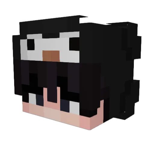 sc6ut Minecraft avatar head, 3D render