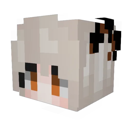 sc6vt Minecraft avatar head, 3D render