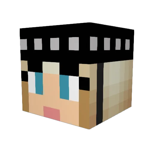 scallywag100 Minecraft avatar head, 3D render