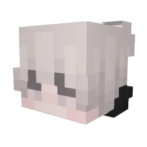 scamyq Minecraft avatar head, 3D render