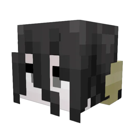 scar86 Minecraft avatar head, 3D render