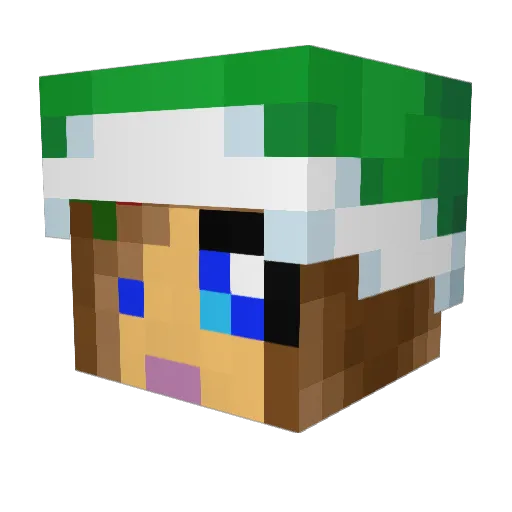 scara0 Minecraft avatar head, 3D render
