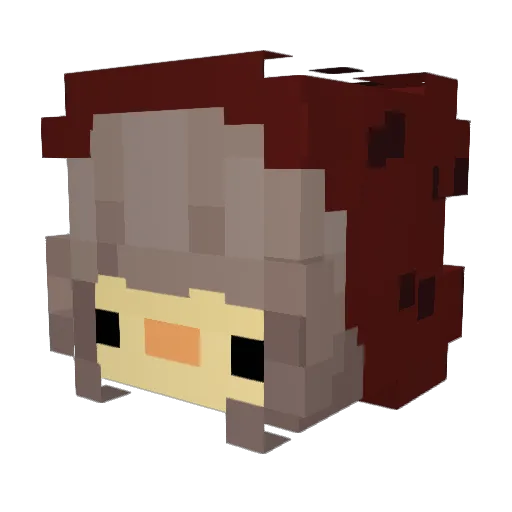 scaranoob Minecraft avatar head, 3D render