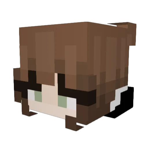 scaredbois Minecraft avatar head, 3D render