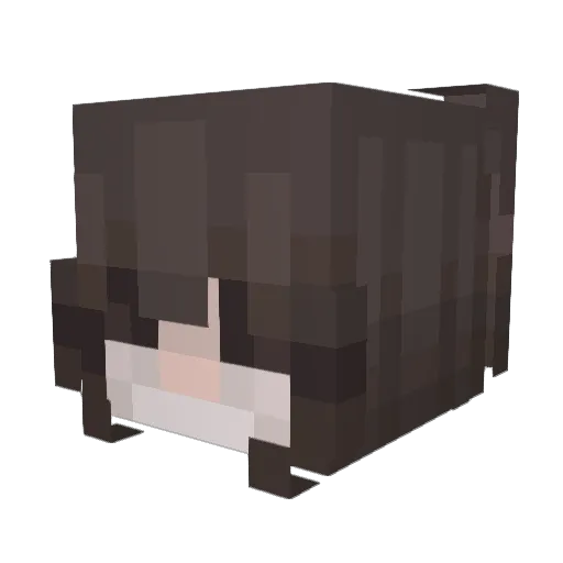 scaredofthecold Minecraft avatar head, 3D render