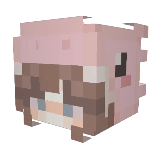 scarjjk Minecraft avatar head, 3D render