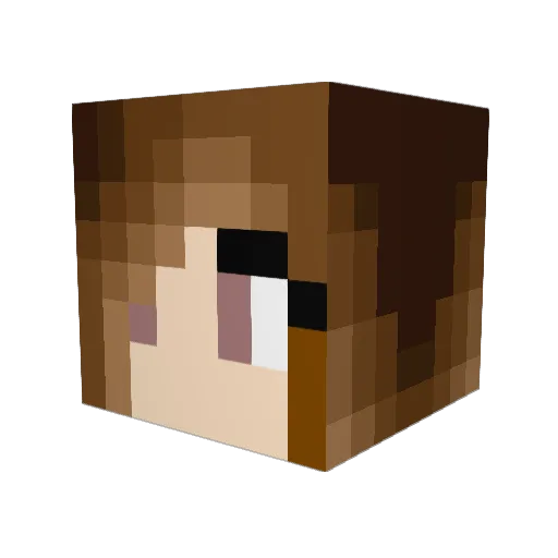 scarletmoon21 Minecraft avatar head, 3D render