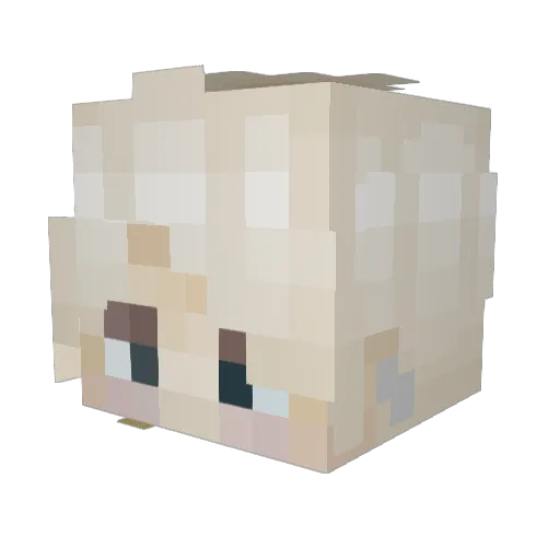 scarlottey Minecraft avatar head, 3D render