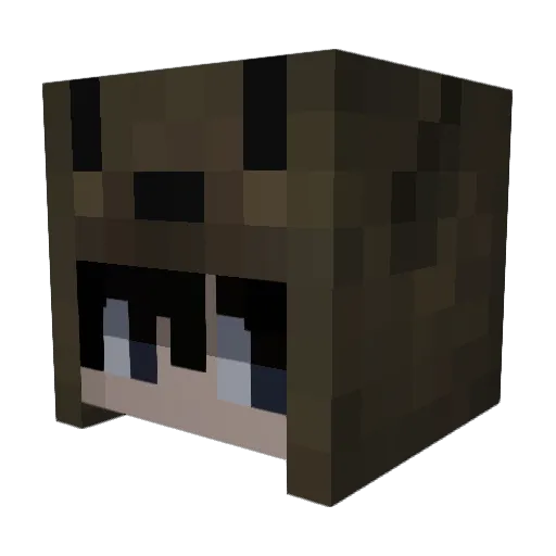 scartattoos Minecraft avatar head, 3D render