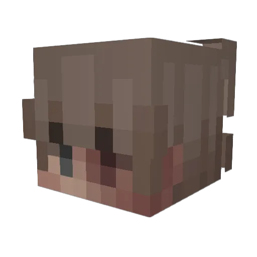 scarwave Minecraft avatar head, 3D render