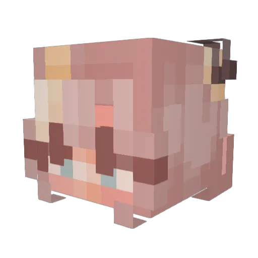 scarykitty05 Minecraft avatar head, 3D render