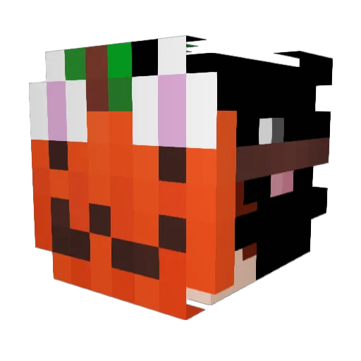 scaryknow Minecraft avatar head, 3D render