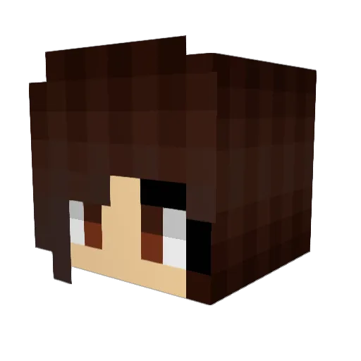 scftki Minecraft avatar head, 3D render