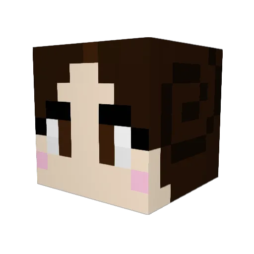 schKidz Minecraft avatar head, 3D render