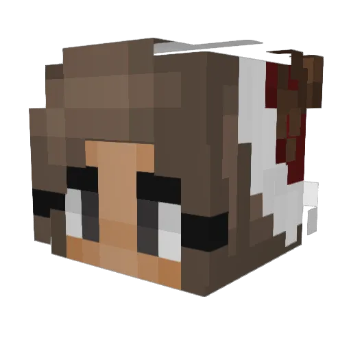 schadenfrohh Minecraft avatar head, 3D render