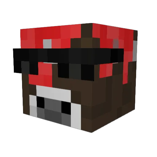 schele8 Minecraft avatar head, 3D render
