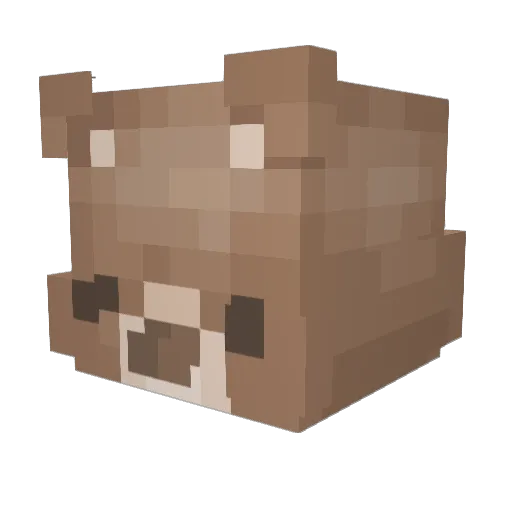 schild02 Minecraft avatar head, 3D render