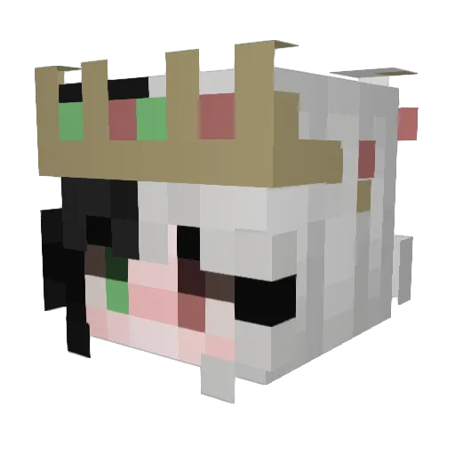 schildi246 Minecraft avatar head, 3D render