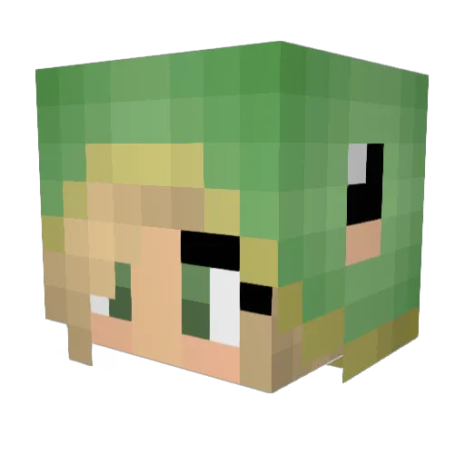 schildpadje13 Minecraft avatar head, 3D render