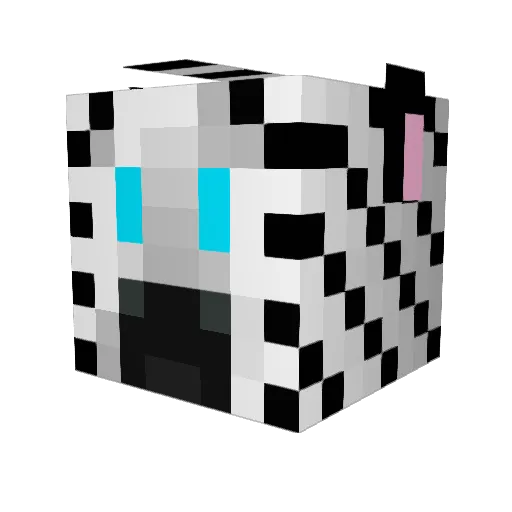 schittebaby Minecraft avatar head, 3D render