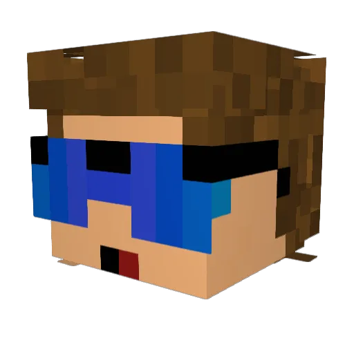 schleepymc Minecraft avatar head, 3D render