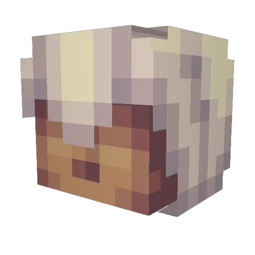 schlewer Minecraft avatar head, 3D render