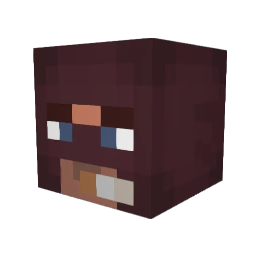 schloobus Minecraft avatar head, 3D render