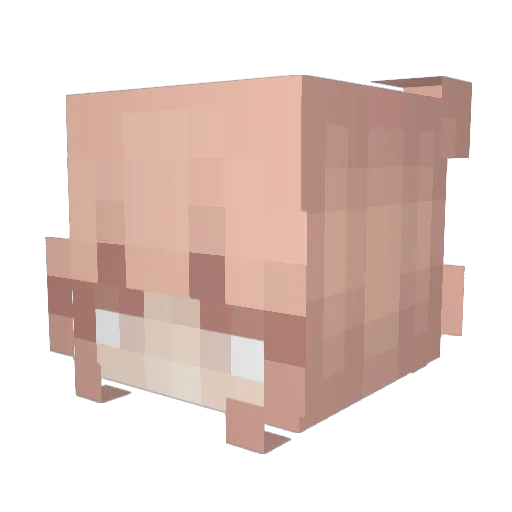 schlyme Minecraft avatar head, 3D render