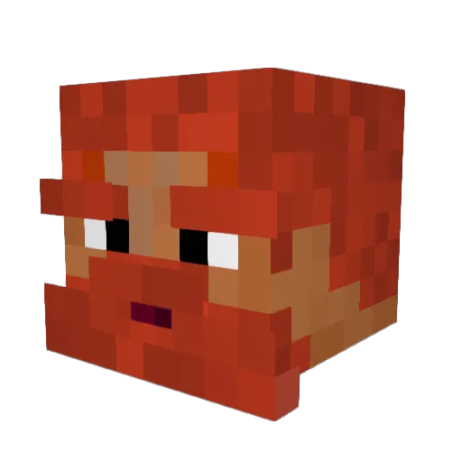 schmaliwhacker03 Minecraft avatar head, 3D render